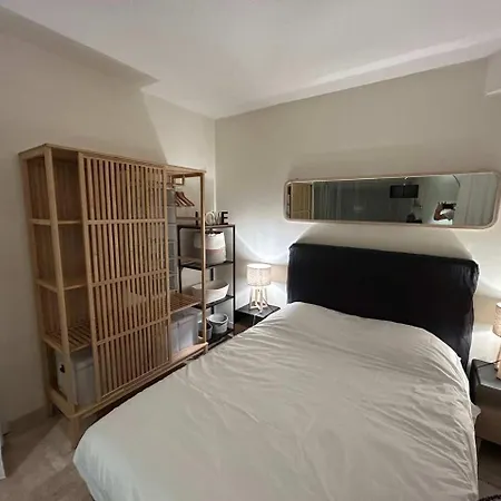 A050-studio Avec Jardin Prive Pres De La Appartement *